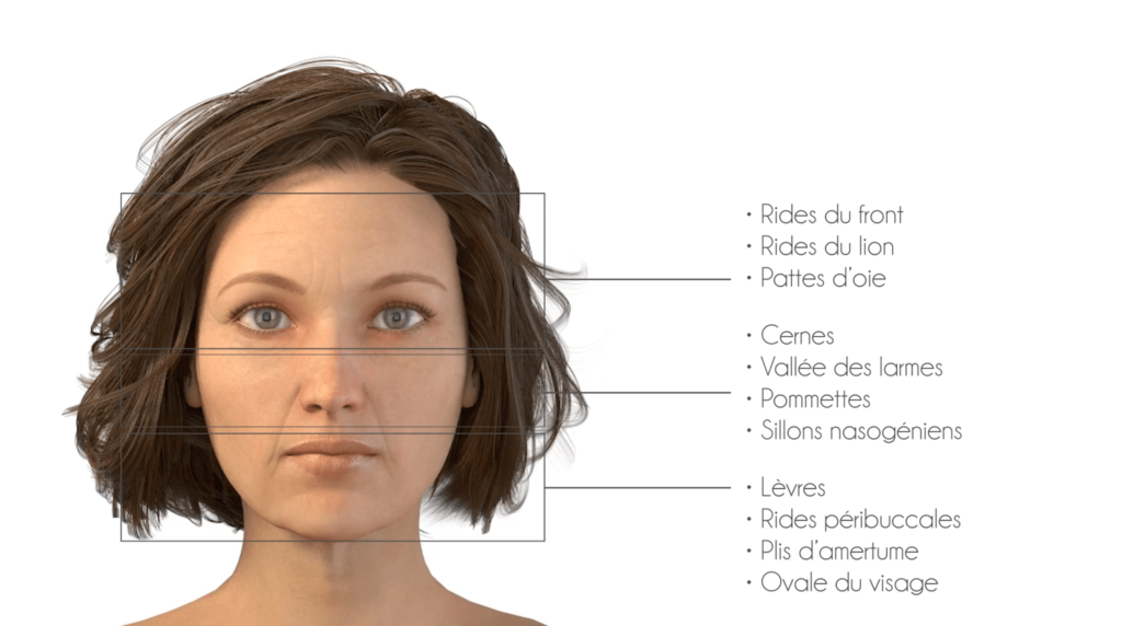 zones-du-visage-3422812